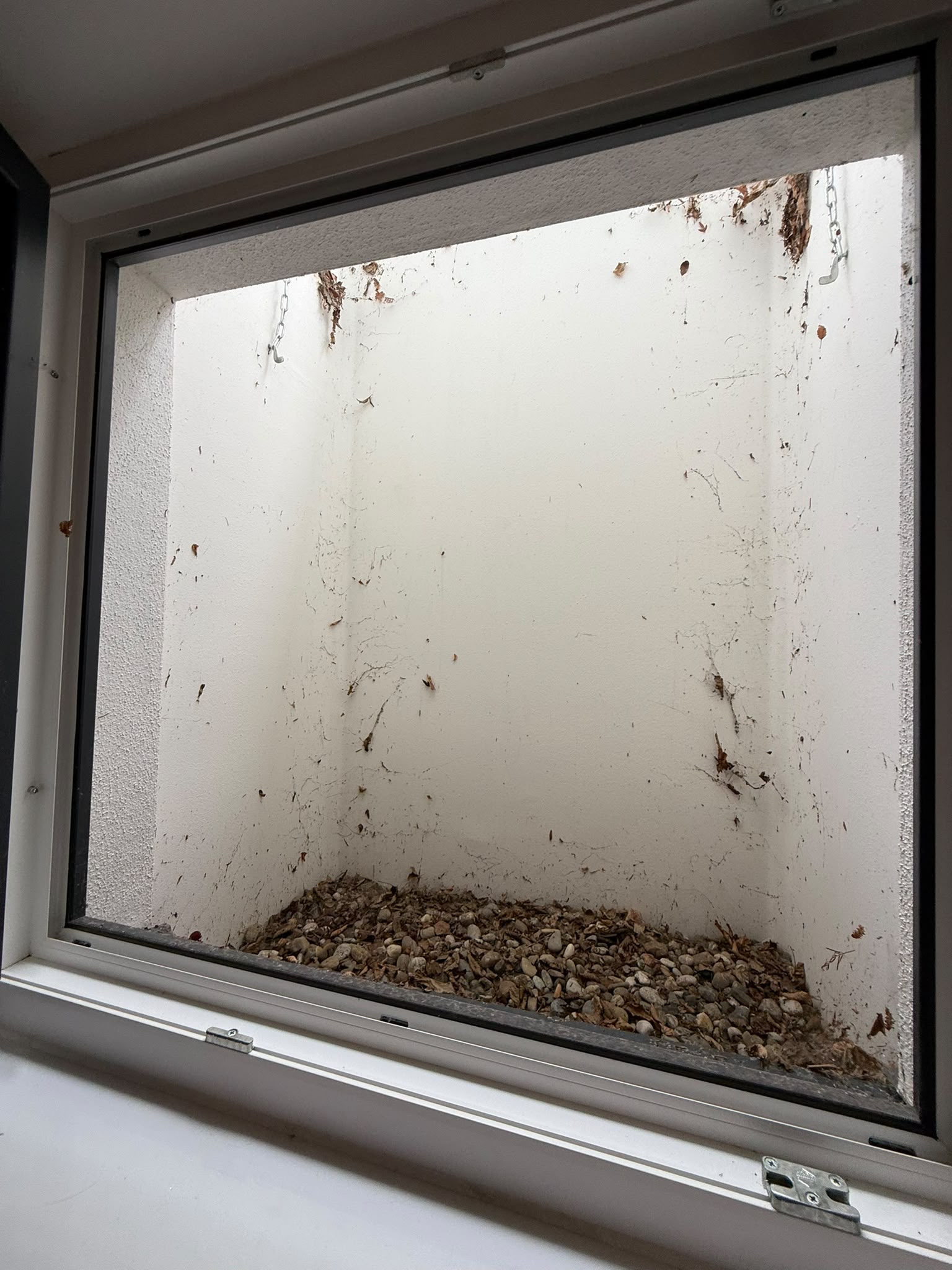 Vorher schmutziges Kellerfenster